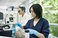 What Is Trace Lysed Blood In Urine 