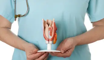 人类喉头的模型。