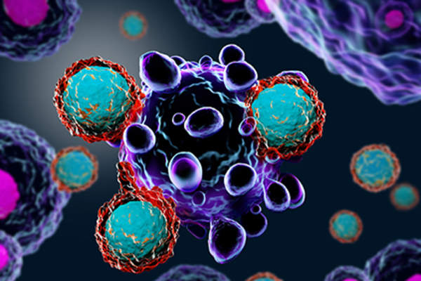 免疫细胞攻击癌细胞。