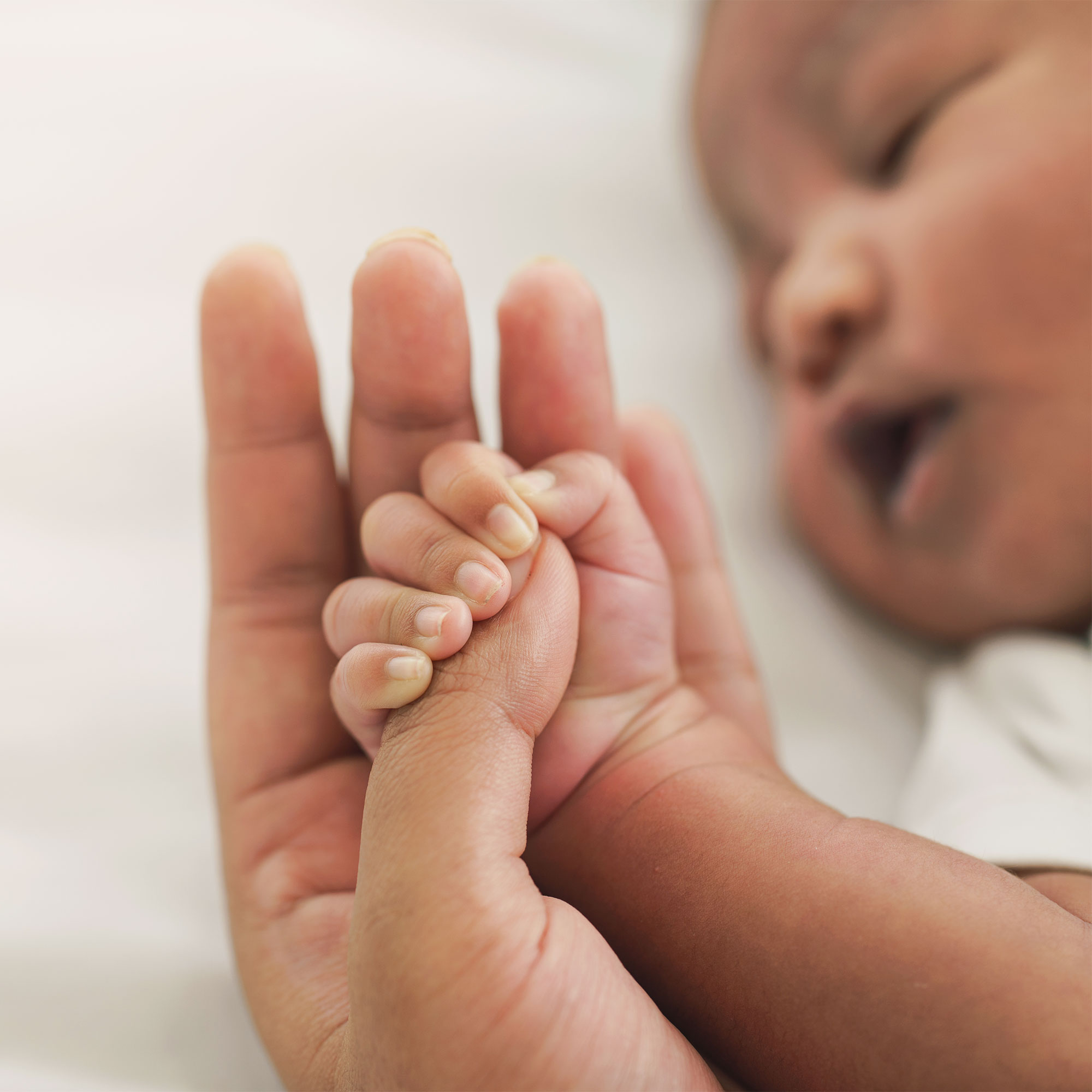 新生的婴儿握着人的手