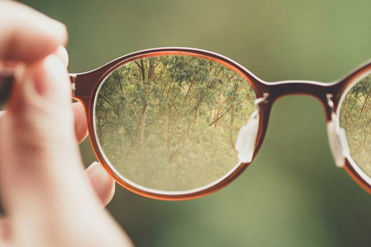 背景模糊的手持眼镜