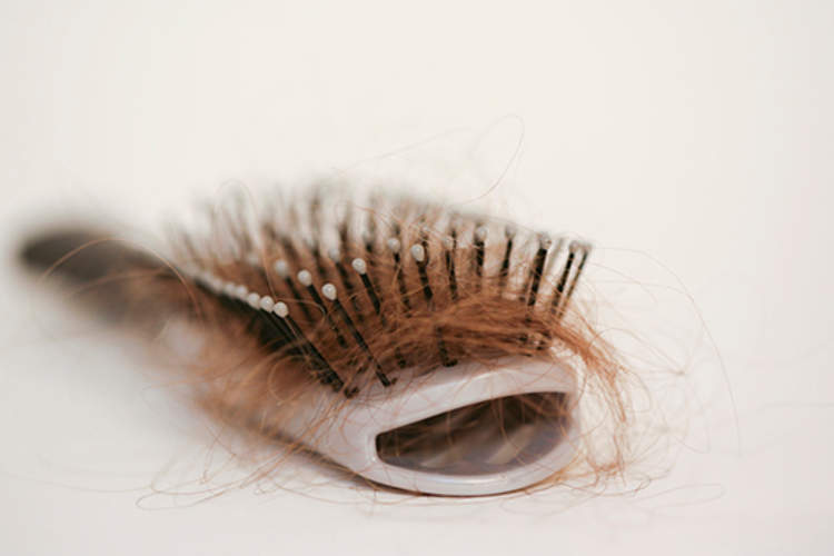 用女人棕色头发做的发刷。