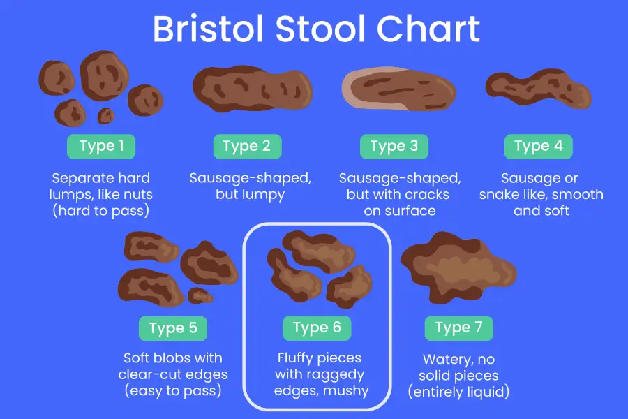 P Bristol Stool Chart Fluffy ?fm=webp&q=50&w=1200&h=600&fit=thumb