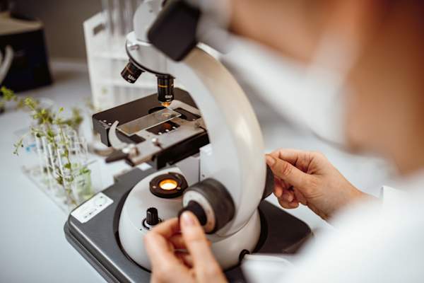 科学家在寻找显微镜