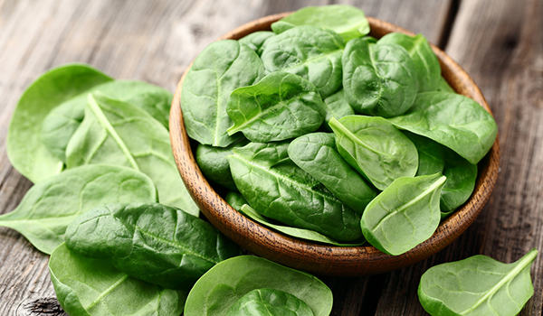 新鲜的菠菜叶在一个碗里上一张木桌