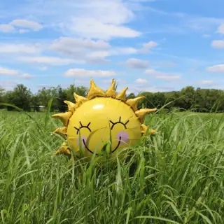 Sun shaped smiling balloon in grass