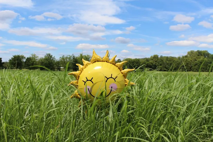 Sun shaped smiling balloon in grass