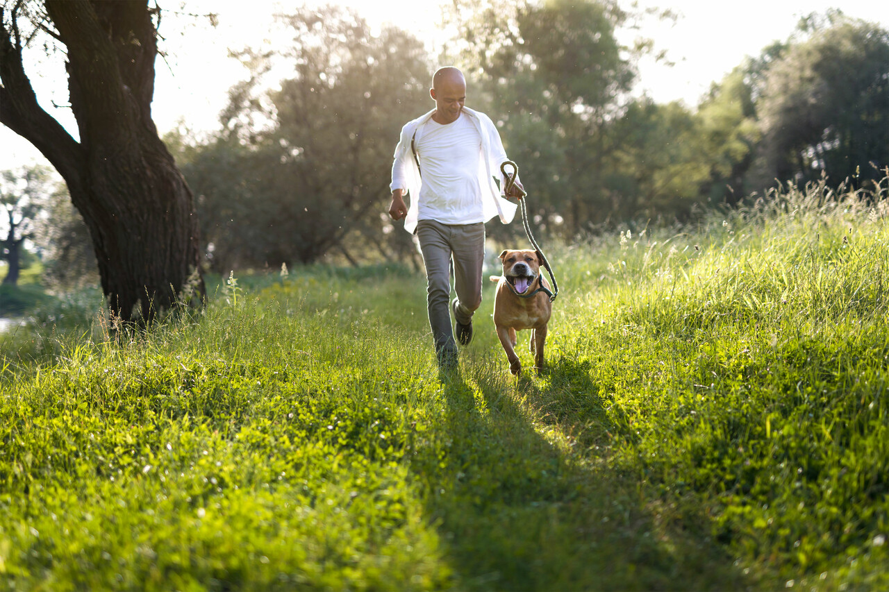 一个男人带着他的狗在外面跑