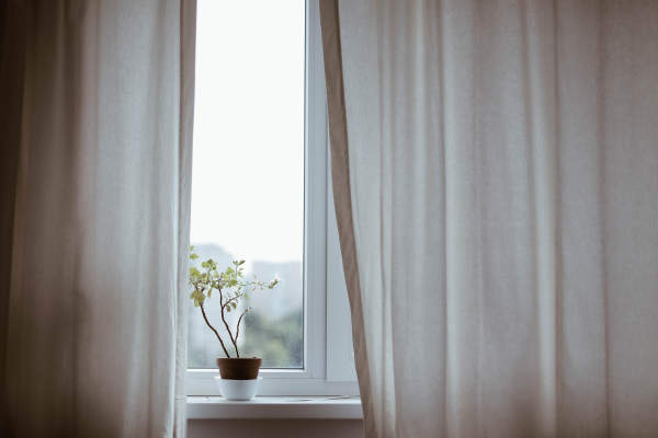 窗帘和植物窗口
