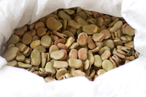 白色的小麻袋干蚕豆的。