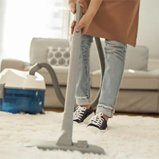 使用地毯擦净剂的妇女。