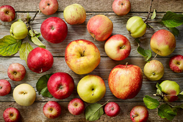 各种各样的苹果。