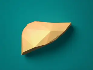 金纸肝模型