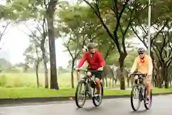 A father and son ride their bicycles