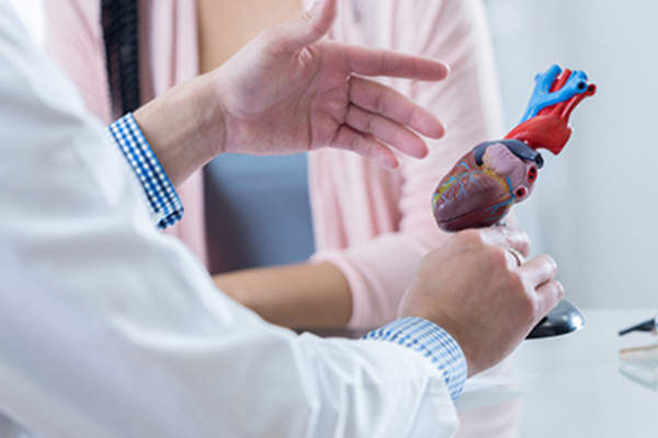 心脏病专家保护心脏。