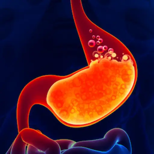 胃酸冒泡图像。