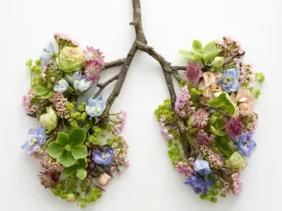 肺部形状的树枝和花朵