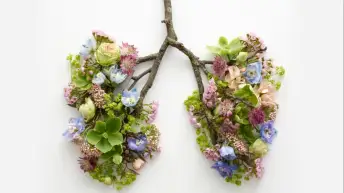 肺部的树枝和花朵