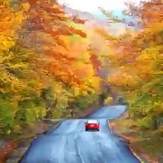 Car driving down a country road.