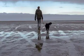 在湿沙子的人走的狗