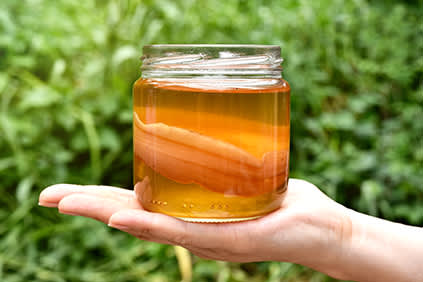 红茶菌发酵罐子。