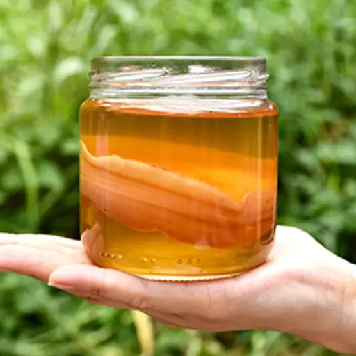 Jar of kombucha fermenting.