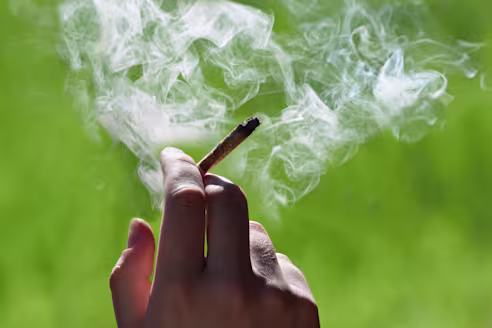 A close-up photo of a hand holding a lit marijuana joint billowing with smoke.
