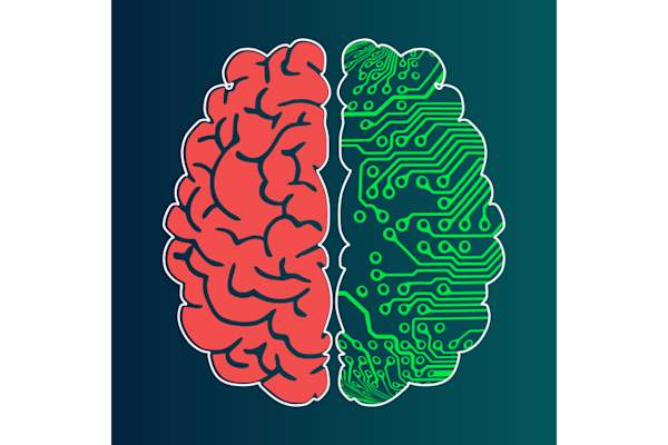 解码大脑训练标志