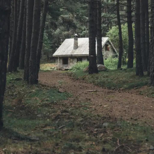 森林里的小屋