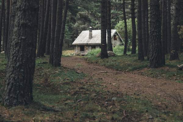在森林小屋