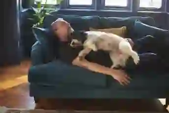 一个男人和他的狗睡在沙发上