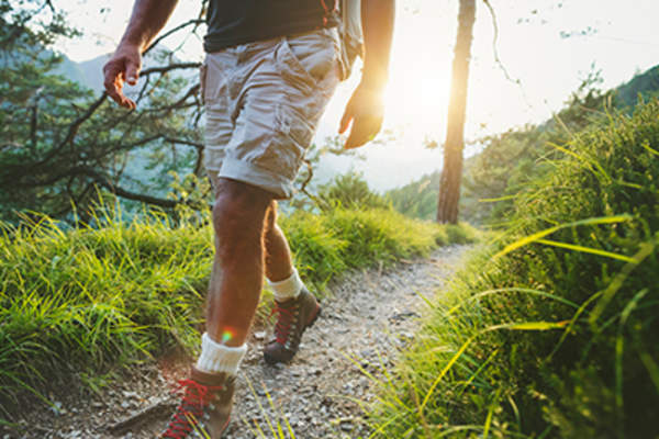 人类在森林中徒步旅行。