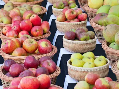 不同种类的苹果在篮子在农民市场上。