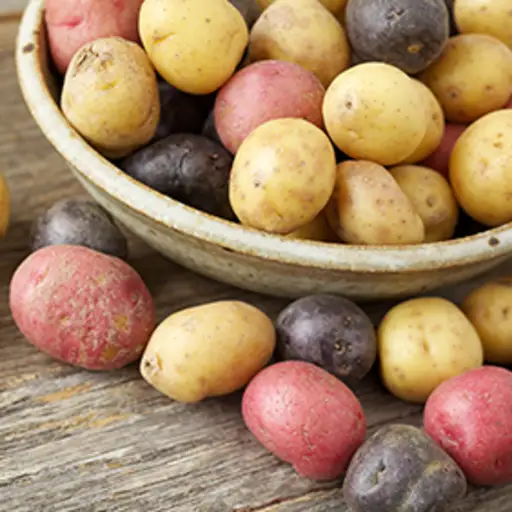 一碗各式各样的土豆。