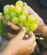 与孙子分享绿色葡萄的祖母