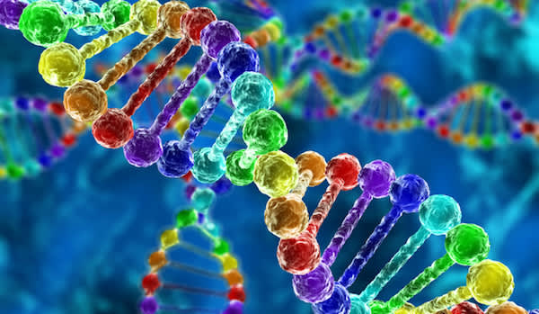 DNA双螺旋图像。