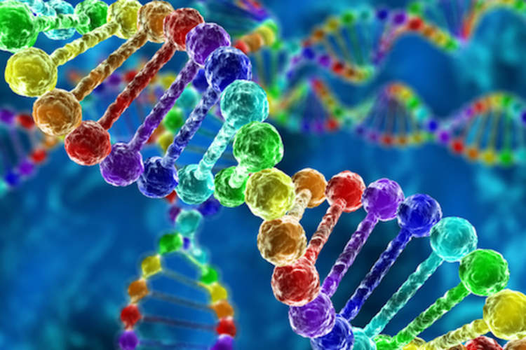 DNA双螺旋图像。