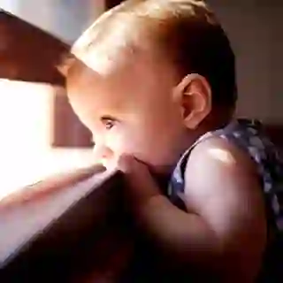 toddler at window sill image