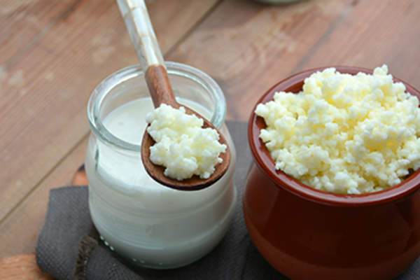 克菲尔和白干酪。