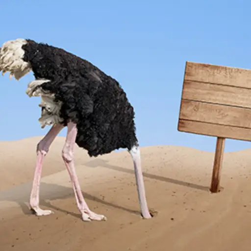 Scared ostrich burying head in sand near blank wooden signboard