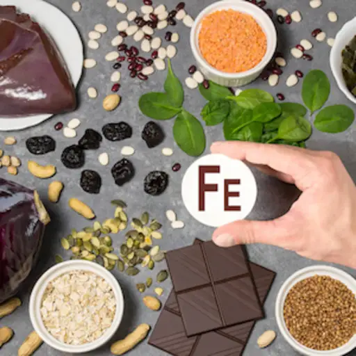 铁(Fe)丰富的食物。