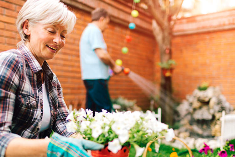 一对老年夫妇做春天yardwork。