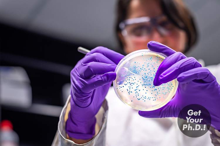 用贴纸微生物实验室