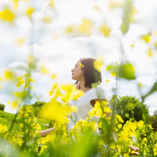 一个女人站在黄花盛开的田野里