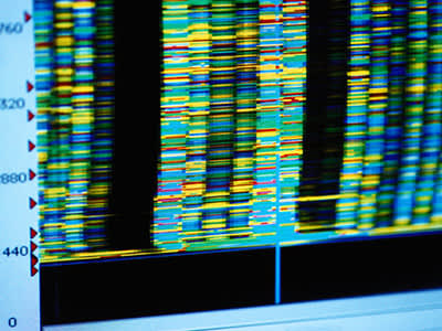 电脑打印出DNA，基因。
