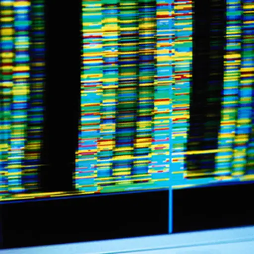 电脑打印DNA，基因。