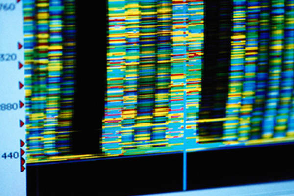 电脑打印出DNA,基因。