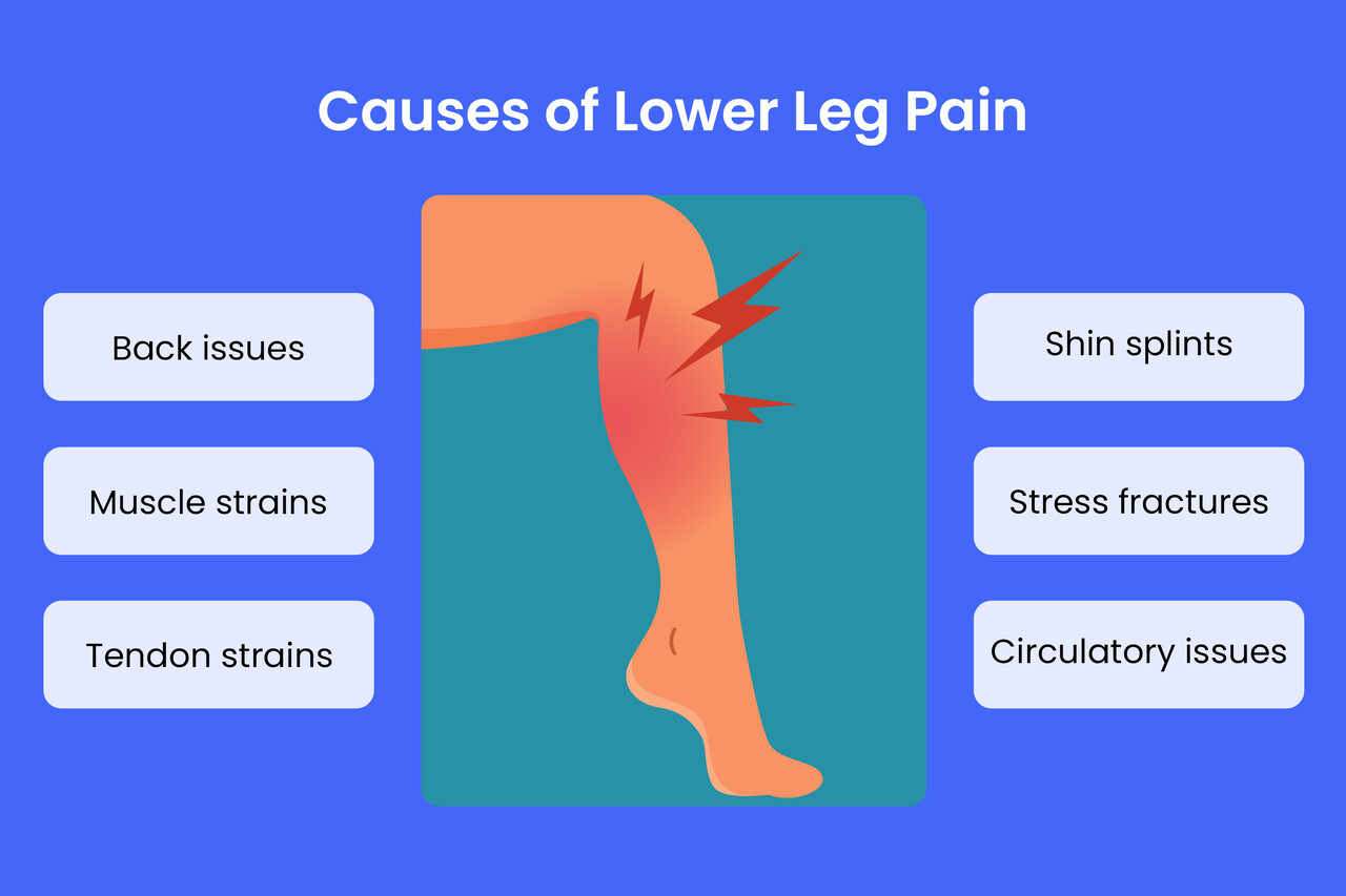 Lower Leg Pain Causes, Treatment and More