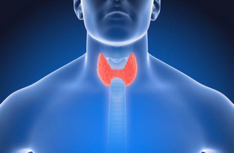 The Specialist: Hashimoto&#39;s Thyroiditis