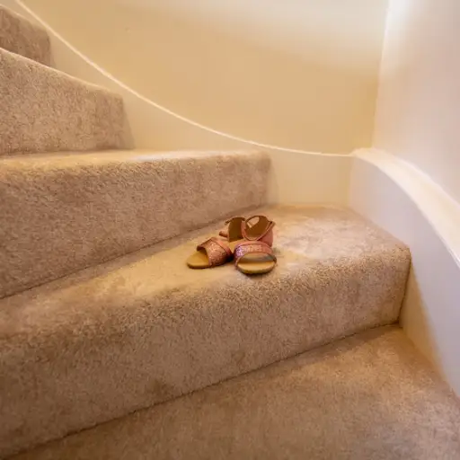 对恐吓楼梯上的鞋子。
